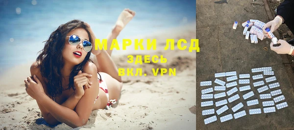 мяу мяу мука Магас