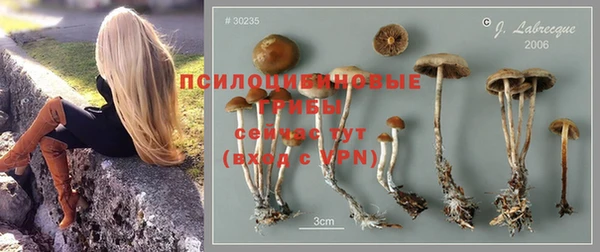 скорость Майский