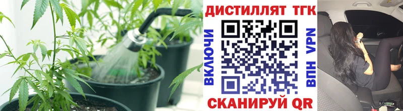 цена наркотик Новоузенск ссылка на мегу как войти ТГК концентрат