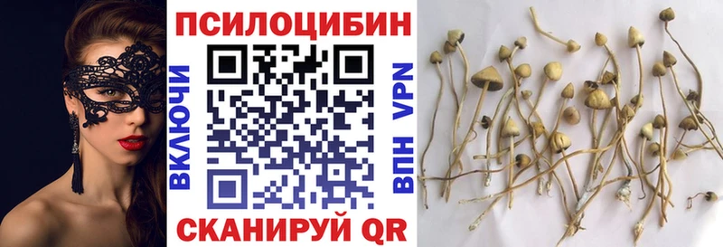 Галлюциногенные грибы мицелий  Новоузенск 