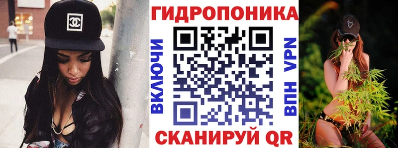 наркотики  Новоузенск  Конопля сатива 